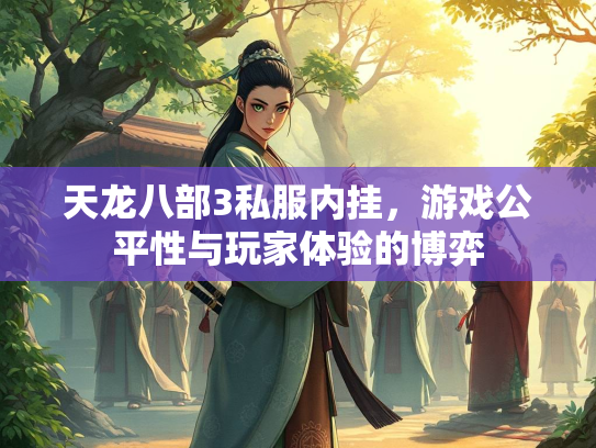 天龙八部3私服内挂，游戏公平性与玩家体验的博弈  第2张
