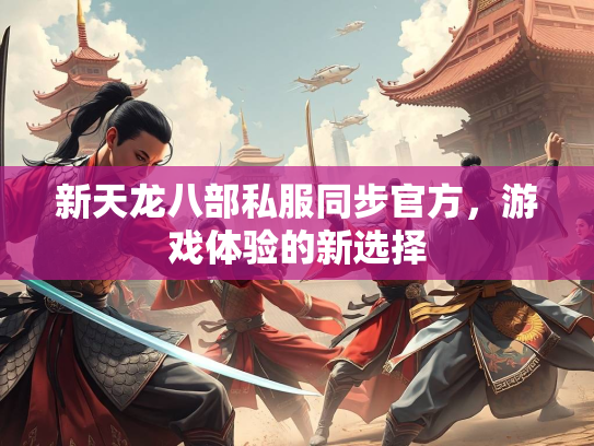 新天龙八部私服同步官方，游戏体验的新选择  第2张