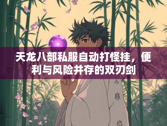 天龙八部私服自动打怪挂，便利与风险并存的双刃剑  第2张
