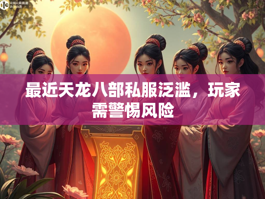 最近天龙八部私服泛滥，玩家需警惕风险  第2张