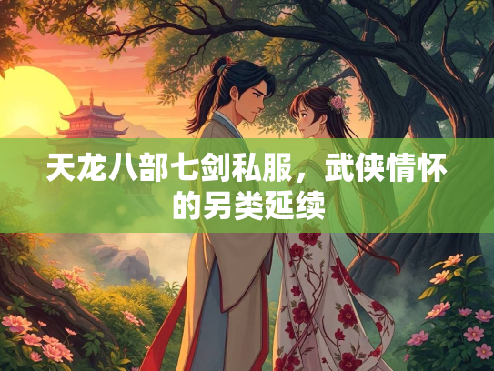 天龙八部七剑私服，武侠情怀的另类延续  第2张