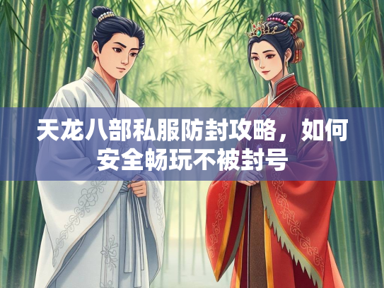天龙八部私服防封攻略，如何安全畅玩不被封号  第2张