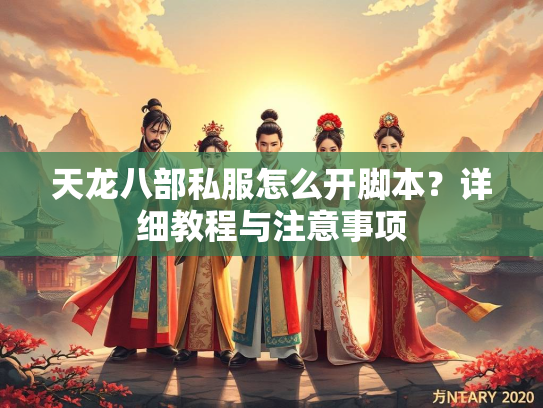 天龙八部私服怎么开脚本？详细教程与注意事项  第1张
