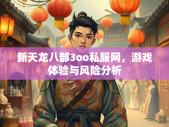 新天龙八部3oo私服网，游戏体验与风险分析  第2张
