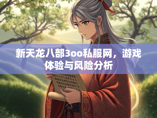 新天龙八部3oo私服网，游戏体验与风险分析  第3张