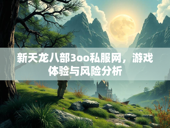 新天龙八部3oo私服网，游戏体验与风险分析  第1张