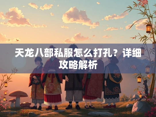 天龙八部私服怎么打孔？详细攻略解析  第1张