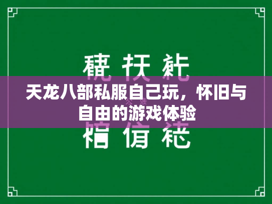 天龙八部私服自己玩，怀旧与自由的游戏体验  第2张
