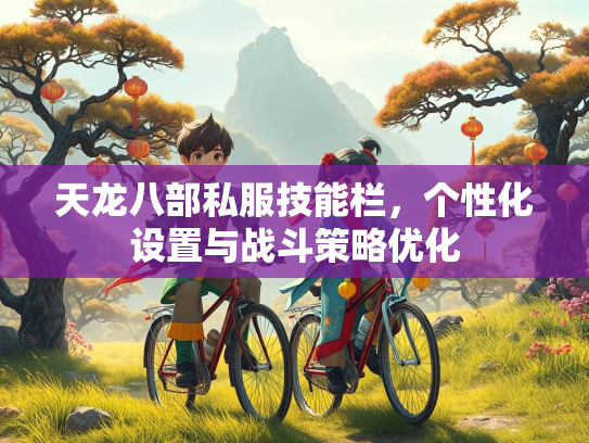天龙八部私服技能栏，个性化设置与战斗策略优化  第1张