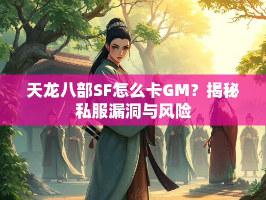 天龙八部SF怎么卡GM？揭秘私服漏洞与风险  第2张