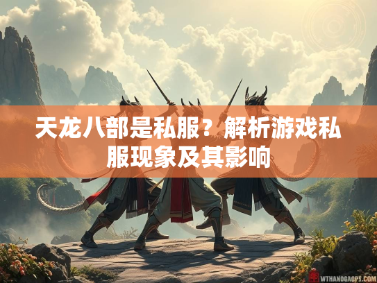 天龙八部是私服？解析游戏私服现象及其影响  第1张