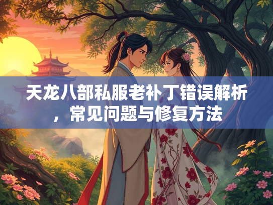 天龙八部私服老补丁错误解析，常见问题与修复方法  第2张