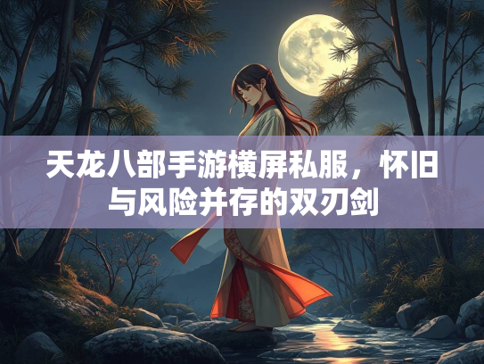 天龙八部手游横屏私服，怀旧与风险并存的双刃剑  第1张