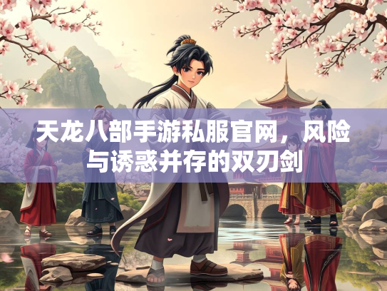 天龙八部手游私服官网，风险与诱惑并存的双刃剑  第1张