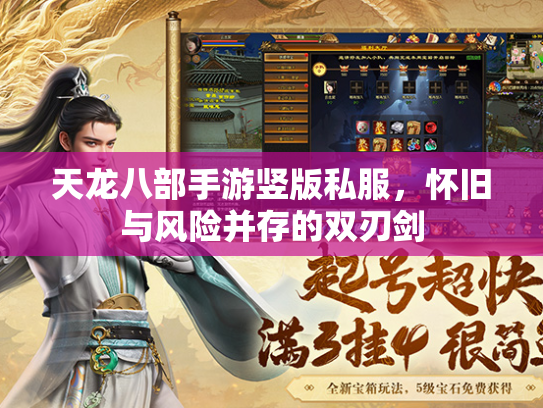 天龙八部手游竖版私服，怀旧与风险并存的双刃剑  第2张