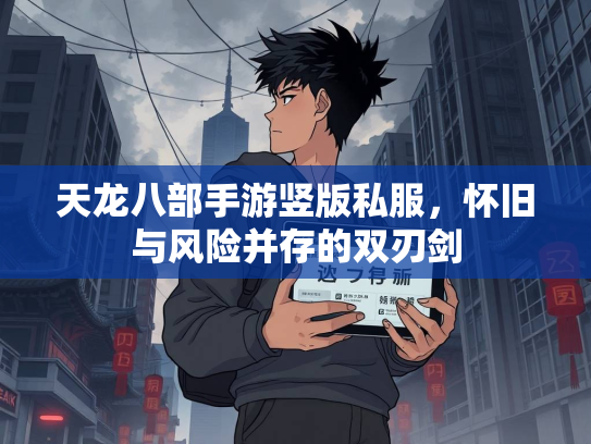 天龙八部手游竖版私服，怀旧与风险并存的双刃剑  第3张