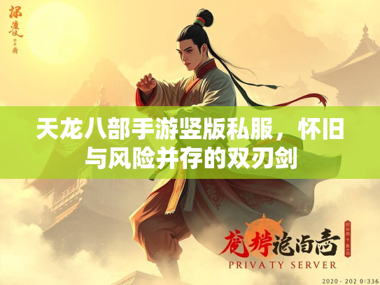天龙八部手游竖版私服，怀旧与风险并存的双刃剑  第1张