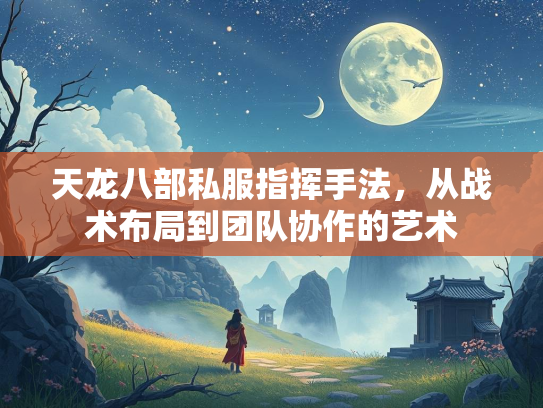 天龙八部私服指挥手法，从战术布局到团队协作的艺术  第2张
