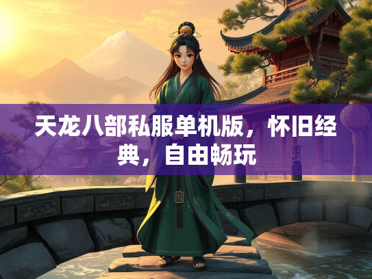 天龙八部私服单机版，怀旧经典，自由畅玩  第3张