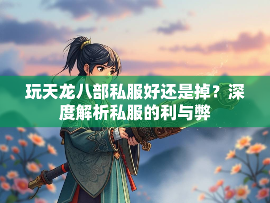 玩天龙八部私服好还是掉？深度解析私服的利与弊  第3张