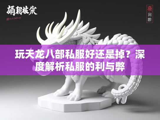 玩天龙八部私服好还是掉？深度解析私服的利与弊  第1张
