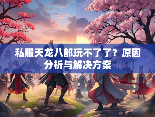 私服天龙八部玩不了了？原因分析与解决方案  第2张