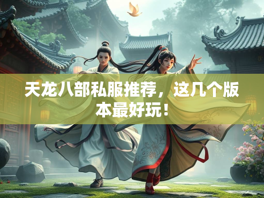 天龙八部私服推荐，这几个版本最好玩！  第2张
