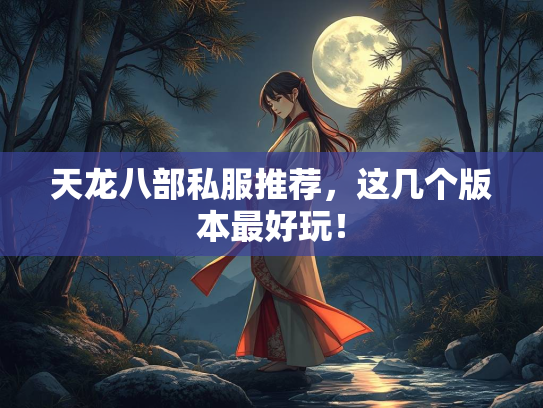 天龙八部私服推荐，这几个版本最好玩！  第3张