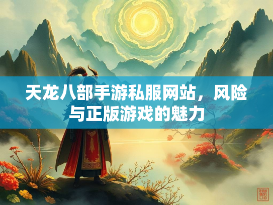 天龙八部手游私服网站，风险与正版游戏的魅力  第2张