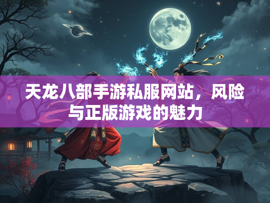 天龙八部手游私服网站，风险与正版游戏的魅力