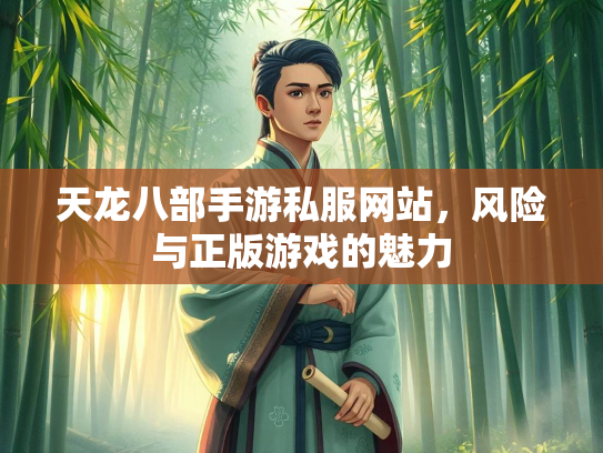天龙八部手游私服网站，风险与正版游戏的魅力  第1张