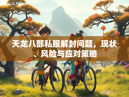 天龙八部私服解封问题，现状、风险与应对策略  第1张