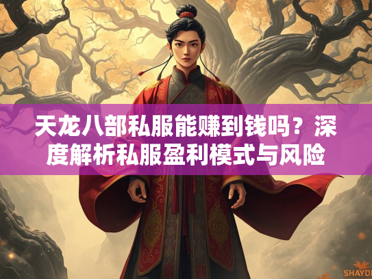 天龙八部私服能赚到钱吗？深度解析私服盈利模式与风险  第2张
