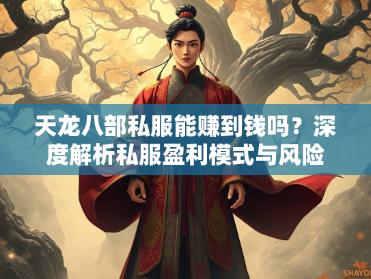 天龙八部私服能赚到钱吗？深度解析私服盈利模式与风险  第3张