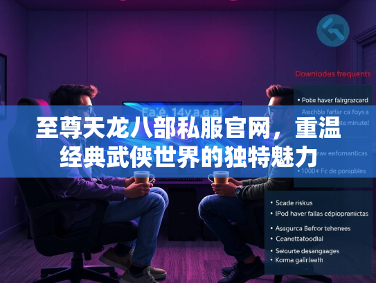至尊天龙八部私服官网，重温经典武侠世界的独特魅力  第1张