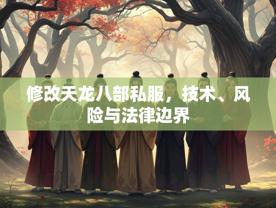 修改天龙八部私服，技术、风险与法律边界  第1张