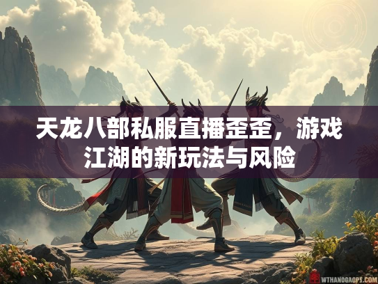 天龙八部私服直播歪歪，游戏江湖的新玩法与风险  第2张