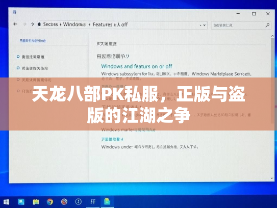 天龙八部PK私服，正版与盗版的江湖之争