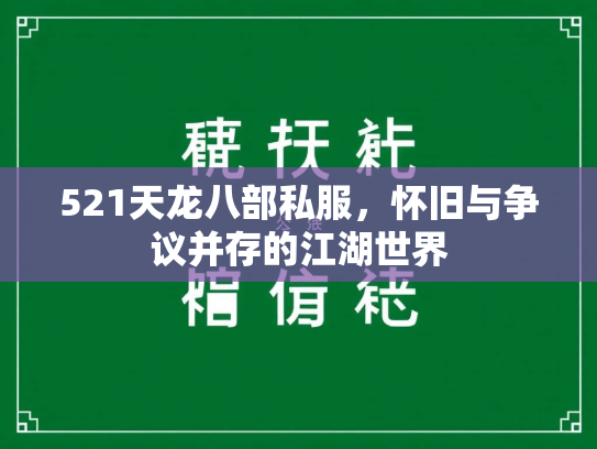 521天龙八部私服，怀旧与争议并存的江湖世界  第3张