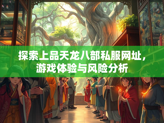探索上品天龙八部私服网址，游戏体验与风险分析  第2张