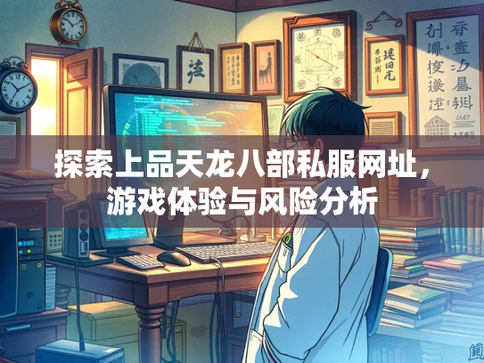 探索上品天龙八部私服网址，游戏体验与风险分析  第1张