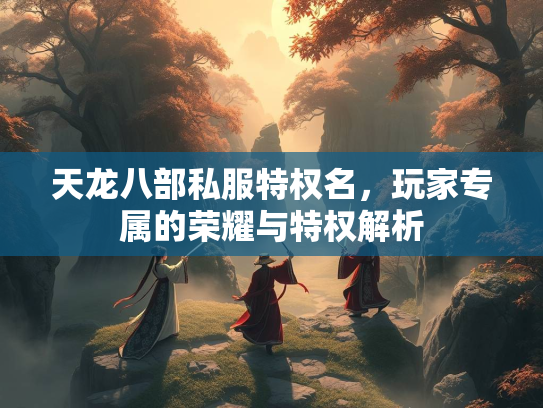 天龙八部私服特权名，玩家专属的荣耀与特权解析  第2张