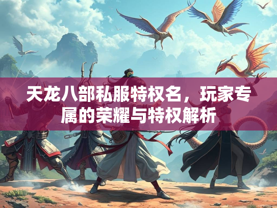 天龙八部私服特权名，玩家专属的荣耀与特权解析  第3张