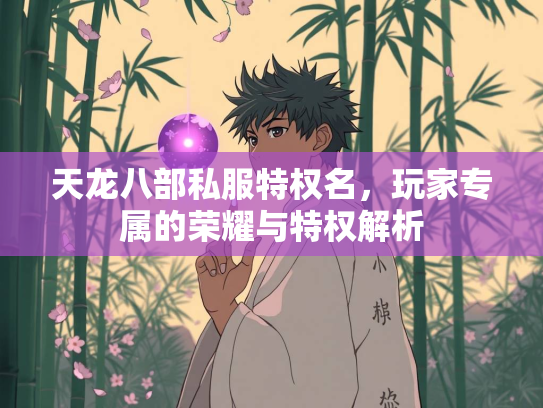 天龙八部私服特权名，玩家专属的荣耀与特权解析  第1张
