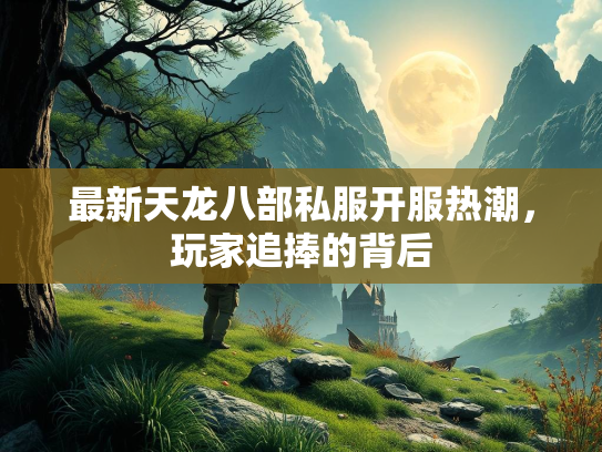 最新天龙八部私服开服热潮，玩家追捧的背后