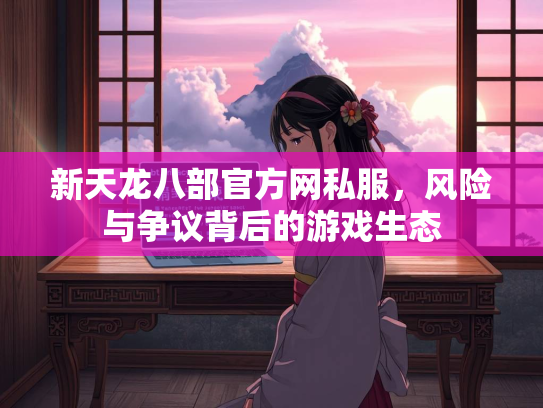 新天龙八部官方网私服，风险与争议背后的游戏生态  第2张