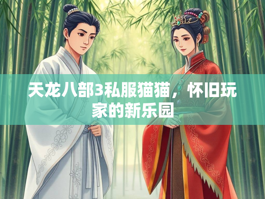 天龙八部3私服猫猫，怀旧玩家的新乐园  第2张