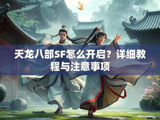 天龙八部SF怎么开启？详细教程与注意事项  第2张