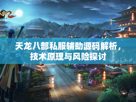 天龙八部私服辅助源码解析，技术原理与风险探讨  第2张