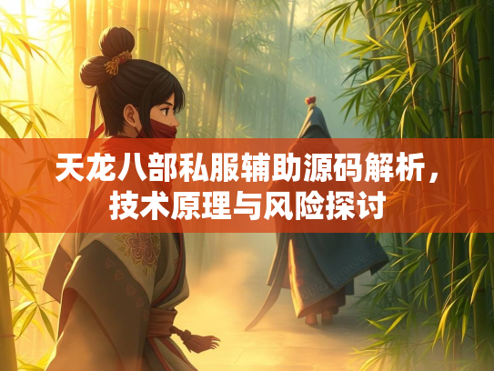 天龙八部私服辅助源码解析，技术原理与风险探讨  第1张
